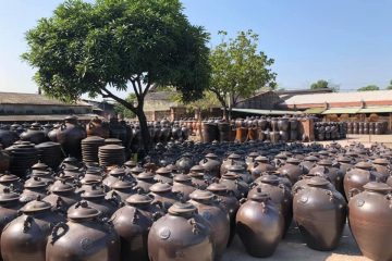 Chum sành Đông Triều