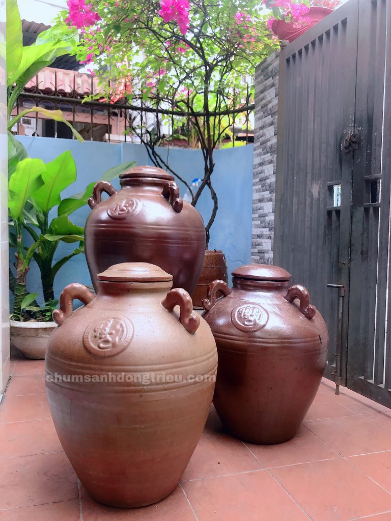 chum sành Đông Triều